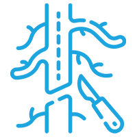 chirurgia-vascolare-angiologia-angiologo