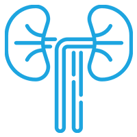 urologia-urologo